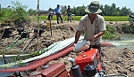 Chuyển đổi mùa vụ để nâng cao thu nhập