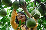 Từ vùng trũng trong giáo dục đến thung lũng của sự sáng tạo