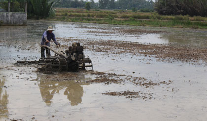 Làm đất để xuống giống vụ lúa thu đông.