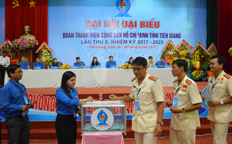 Tiến hành bầu cử BCH Tỉnh đoàn khóa X và Đoàn đại biểu dự Đại hội Đoàn toàn quốc