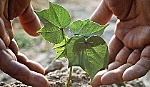 Sản xuất thành công đất nhân tạo