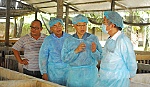 Có một trang trại chăn nuôi khép kín, an toàn