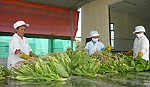 Thực phẩm nông nghiệp, làm gì để đảm bảo an toàn?