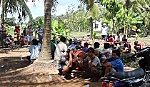 Triệt phá 2 trường gà