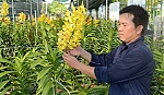 Kết nối và chuyển giao