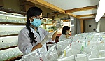 Để bình đẳng thật sự cho phụ nữ và trẻ em gái