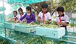 Hiệu quả từ mô hình dạy học trải nghiệm thực tế