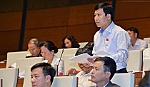 Tiền Giang góp ý 8 vấn đề vào dự án Luật Bảo vệ rừng