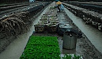 Khả năng vẫn còn những trận mưa to
