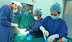 Việt Nam thực hiện ghép tế bào gốc chữa xơ phổi đầu tiên thế giới