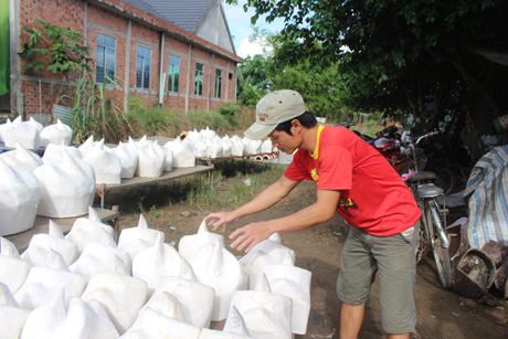 Khuôn hình được mang đi phơi để tạo độ cứng.