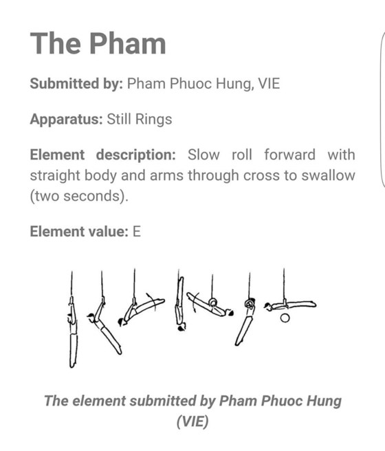 Hồ sơ động tác 