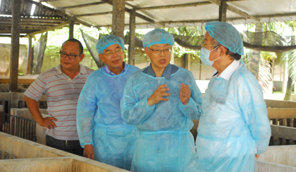 Chuyên gia Nhật Bản trao đổi chuyên môn khi vào thăm trại nuôi heo của anh Bá.