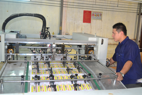 Kinh tế tư nhân được xem là động lực cho sự phát triển.