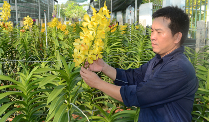 Mô hình trồng lan công nghệ cao của Trung tâm Kỹ thuật  và Công nghệ sinh học Tiền Giang.