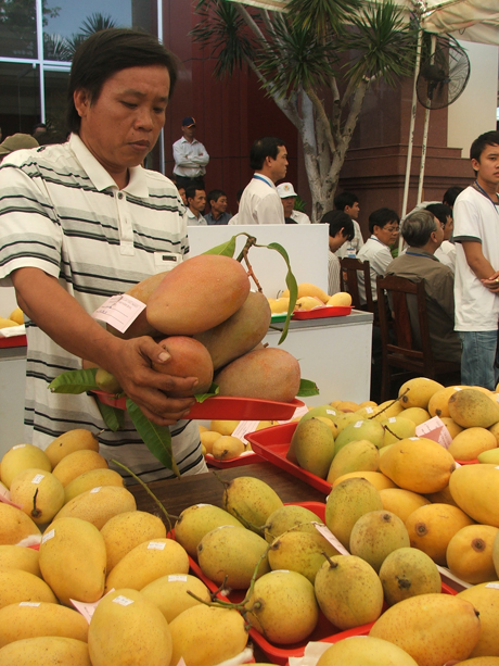 Nhiều chương trình, dự án đã được thực hiện nhằm tạo đà cho ngành NN tăng tốc.