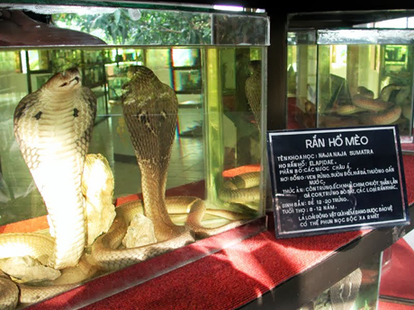 Bảo tàng Rắn tại Trung tâm.