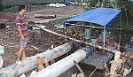 Sẵn sàng ứng phó với bão, lũ