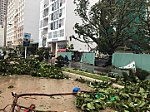 Thương quá Việt Nam!