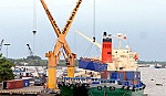 Vai trò của APEC trong tự do hóa hệ thống thương mại thế giới