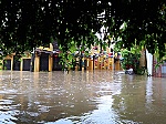 Hình ảnh Hội An trong mưa lũ