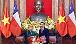 Tuyên bố chung Việt Nam - Chile