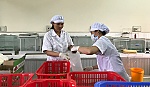 Năm 2017: Lan tỏa mạnh mẽ tinh thần khởi nghiệp
