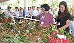 Tiểu vùng Đồng Tháp Mười  trước cơ hội mới