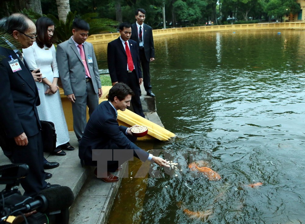 Thủ tướng Canada Justin Trudeau bên ao cá Bác Hồ. (Ảnh: Phạm Kiên/TTXVN)