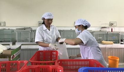 Một công đoạn của quy trình thực hiện bảo quản nông sản bằng công nghệ Nano bạc- một trong những dự án khởi nghiệp thành công của Làng Agritech - Ảnh: VGP/Thu Cúc