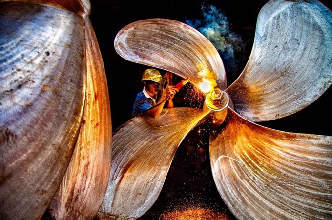 Tác phẩm: The Sea Flower – Tác giả: Vĩnh Hướng