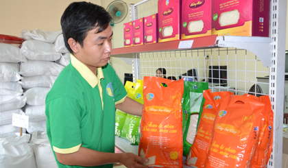 Các doanh nghiệp bắt đầu chú ý đến gạo có nhãn hiệu.