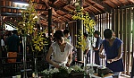Đặc sắc một kỳ lễ hội