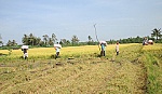 Cử tri kiến nghị nhiều vấn đề bức xúc