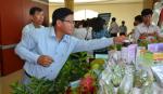 Tìm giải pháp phát triển cây ăn trái