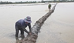 Phân bón tăng giá, nông dân lo lắng