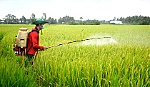 Nông dân chung sức xây dựng nông thôn mới