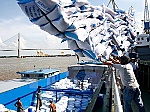 Xuất khẩu gạo năm 2017: Mức tăng trưởng vượt cả kỳ vọng