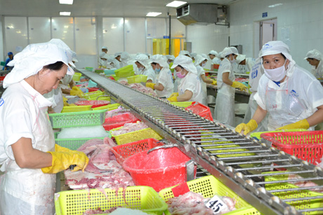 Thủy sản vẫn còn là lợi thế của ĐBSCL.