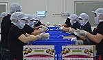 Hành trình 10 năm để xuất khẩu trái vú sữa