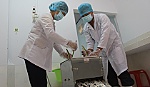 Nhiều hứa hẹn từ trà mãng cầu Xiêm
