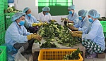 Thực phẩm 