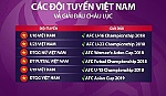 Bóng đá trẻ đang thăng hoa?