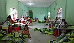 Giúp nhau phát triển kinh tế, giảm nghèo bền vững
