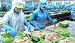 VASEP công bố Sách Trắng về chống khai thác thủy sản bất hợp pháp