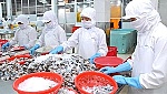 Bị thẻ vàng nhưng thủy sản Việt Nam vẫn đạt 8,3 tỷ USD