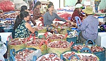 Trồng mận An Phước thu lãi khá