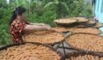 Mứt tết vào mùa