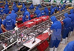 Khó khăn xuất khẩu cá tra ở các thị trường truyền thống