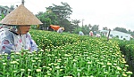 Mưa trái mùa 